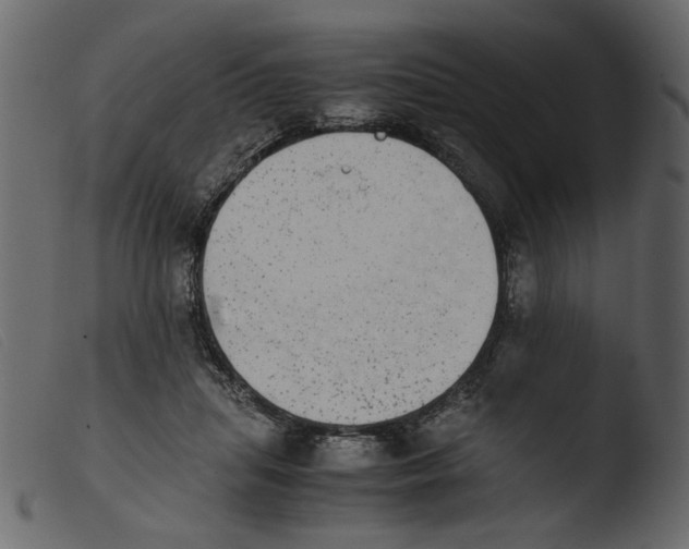 X0000103960455200810101248