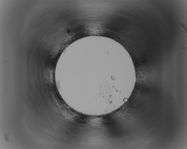 X0000103960456200810101248