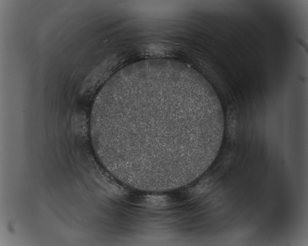 X0000103960457200810101248