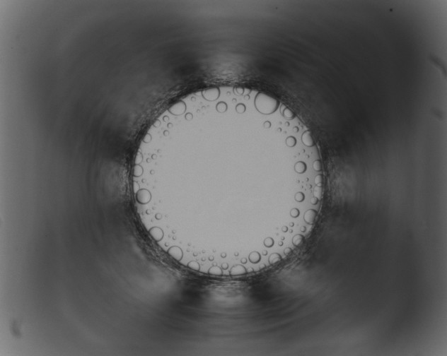 X0000103960459200810101248