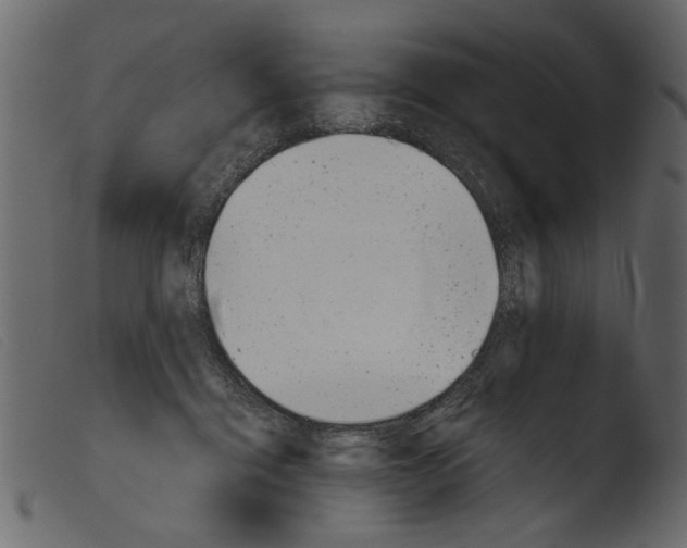 X0000103960460200810101248