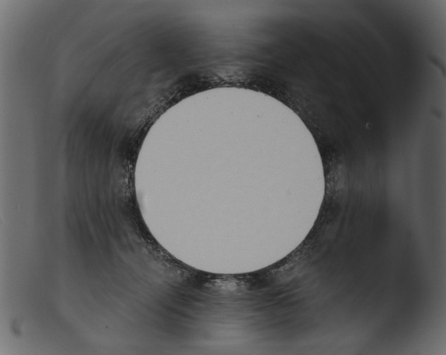 X0000103960464200810101248