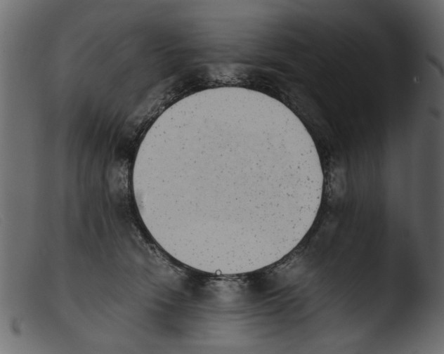 X0000103960466200810101248