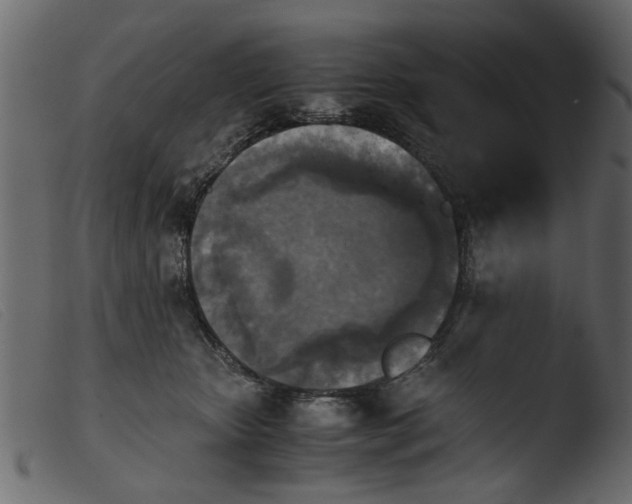 X0000103960467200810101248