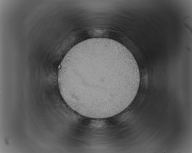 X0000103960469200810101248