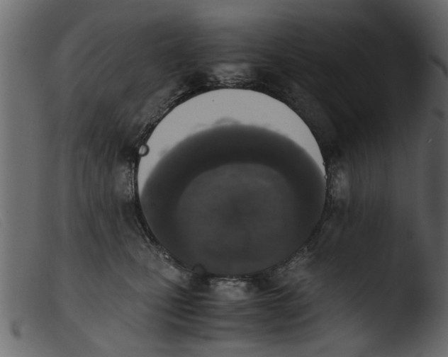 X0000103960471200810101248