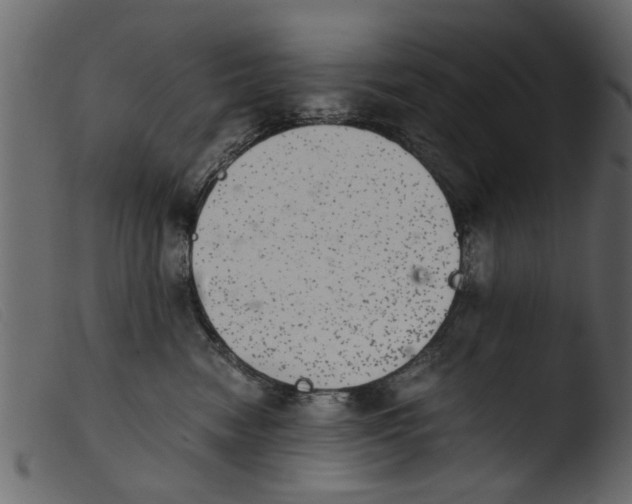 X0000103960474200810101248