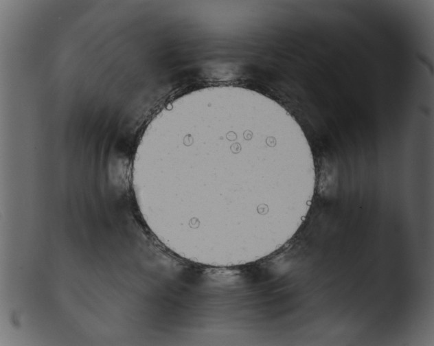 X0000103960476200810101248