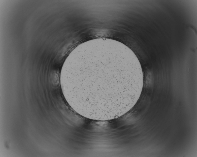 X0000103960478200810101248