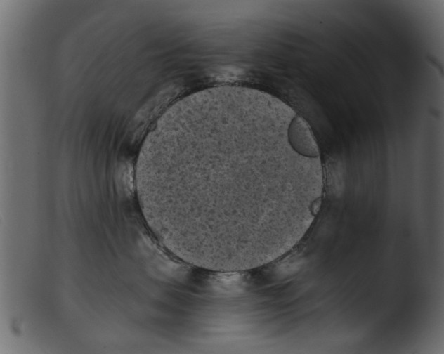 X0000103960479200810101248