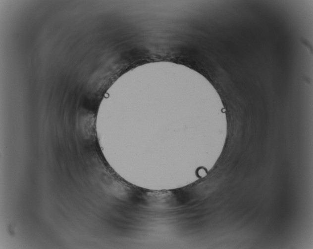 X0000103960480200810101248