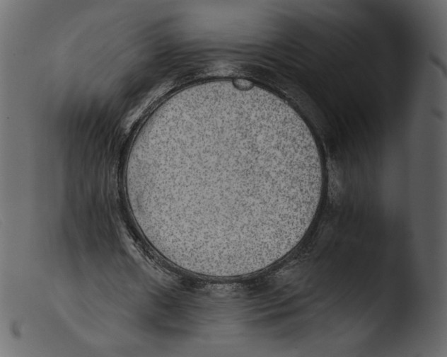 X0000103960482200810101248