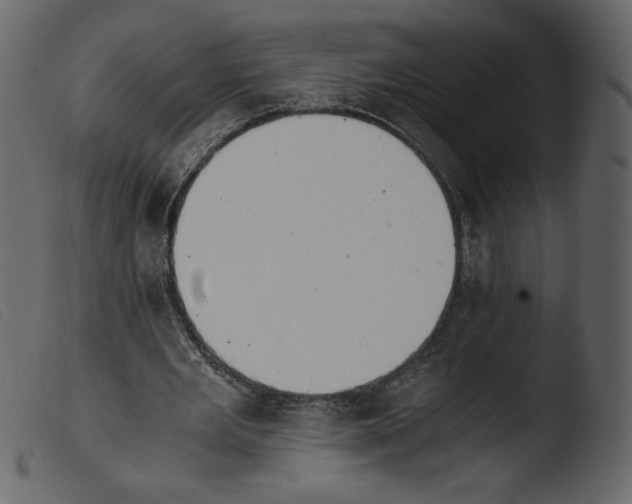 X0000103960485200810101248