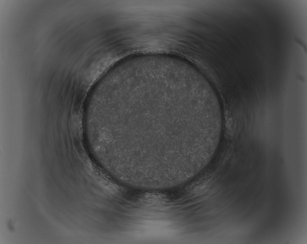 X0000103960487200810101248