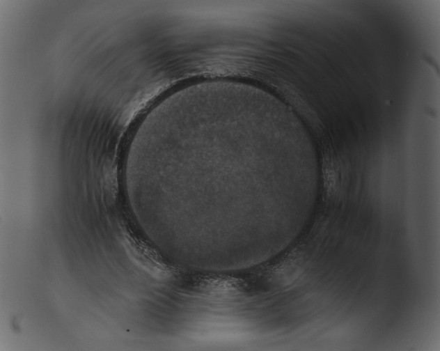 X0000103960488200810101248