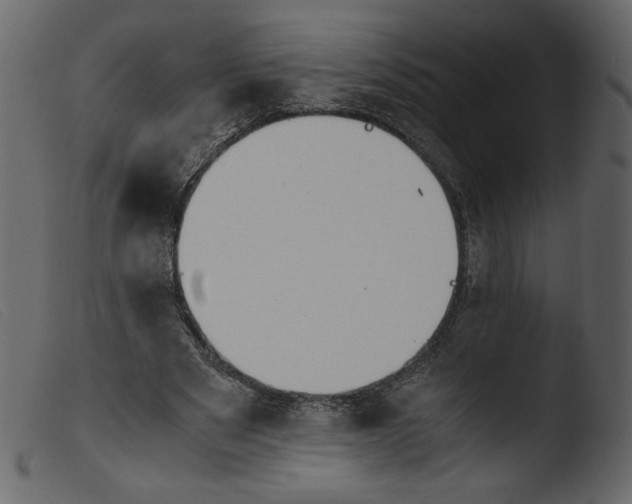 X0000103960489200810101248