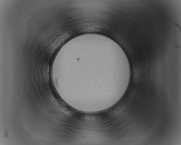 X0000103960490200810101248