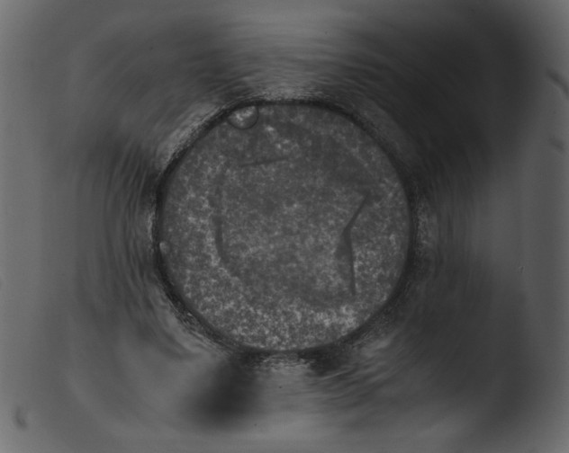 X0000103960491200810101248