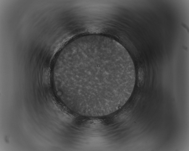 X0000103960492200810101248