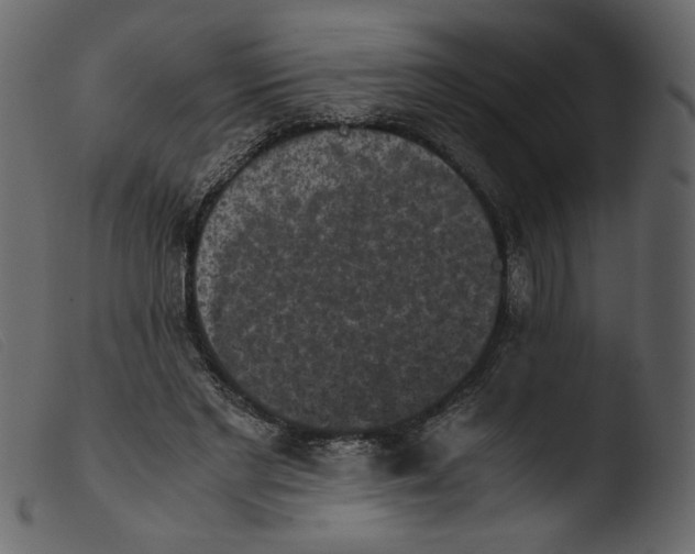 X0000103960493200810101248