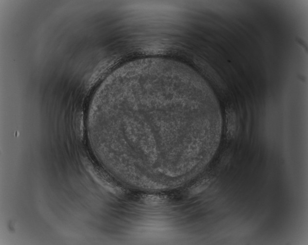 X0000103960494200810101247