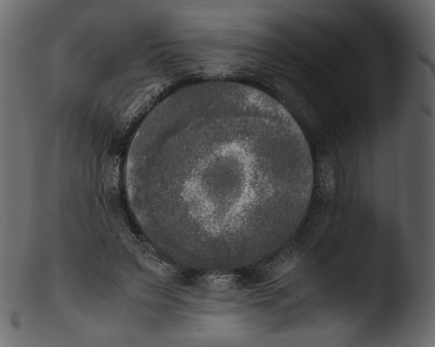 X0000103960495200810101247