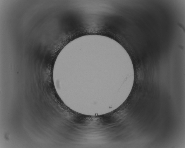 X0000103960497200810101247