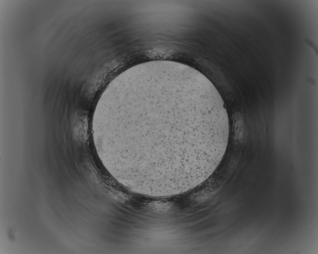 X0000103960498200810101247