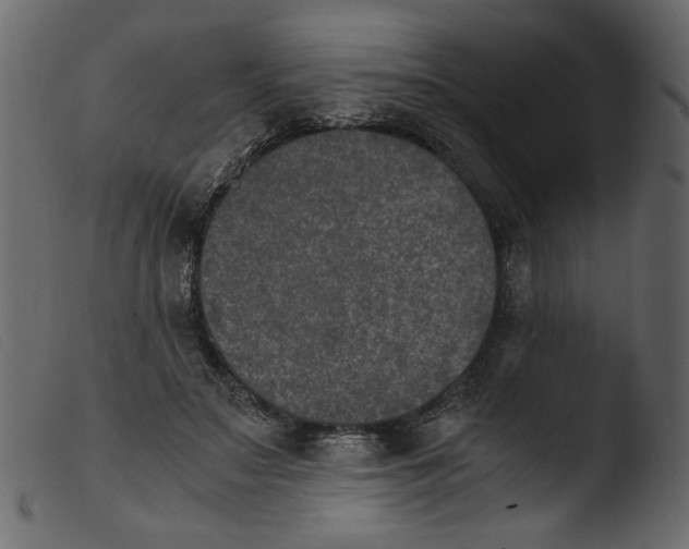 X0000103960499200810101247