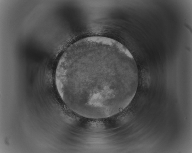 X0000103960500200810101247