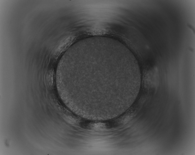 X0000103960501200810101247