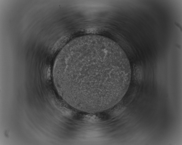 X0000103960502200810101247