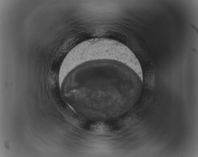 X0000103960503200810101247