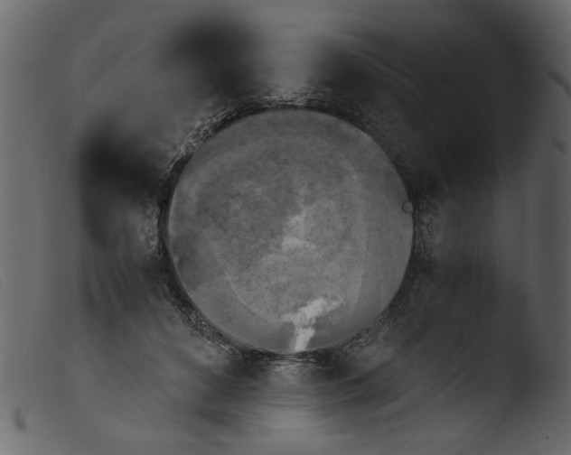 X0000103960504200810101247