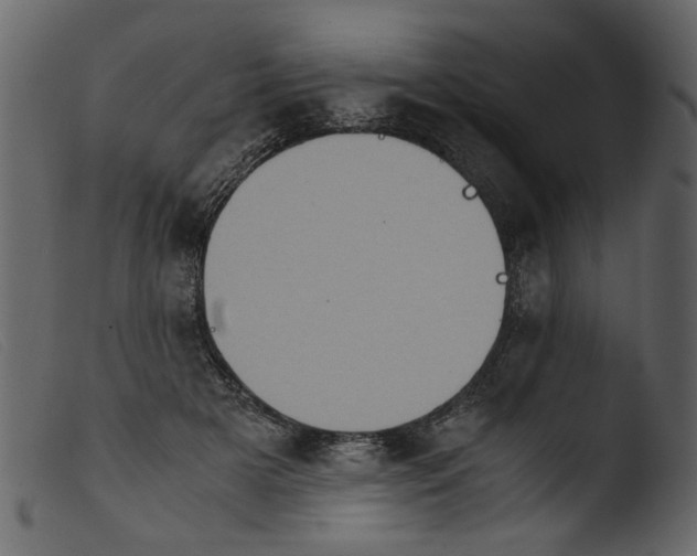 X0000103960505200810101247