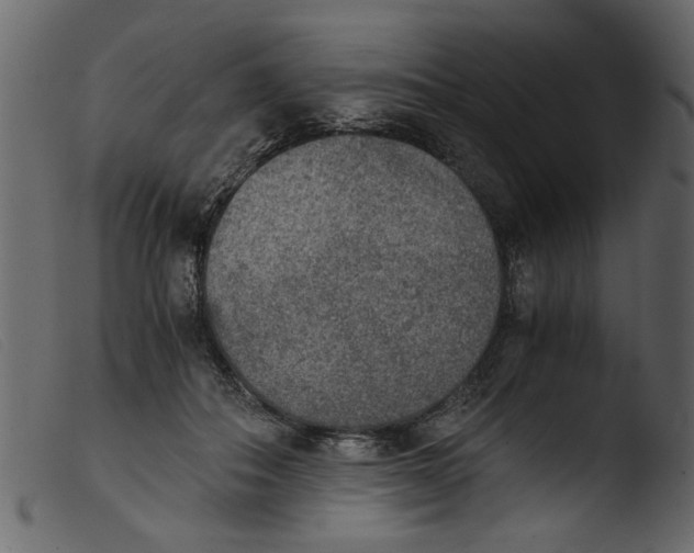 X0000103960506200810101247