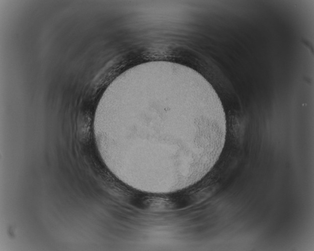 X0000103960507200810101247