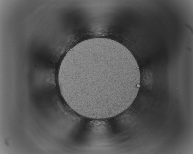 X0000103960512200810101247