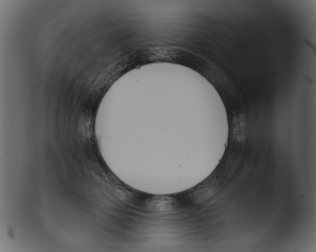 X0000103960514200810101247