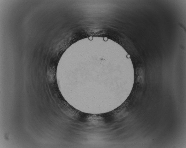 X0000103960515200810101247