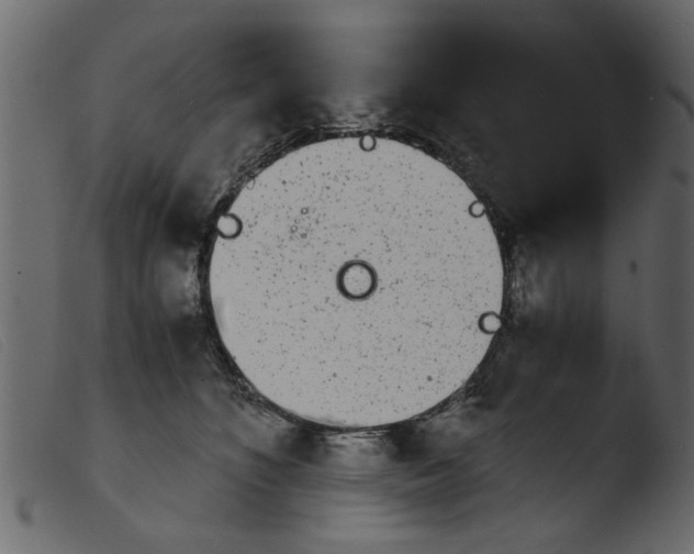 X0000103960516200810101247