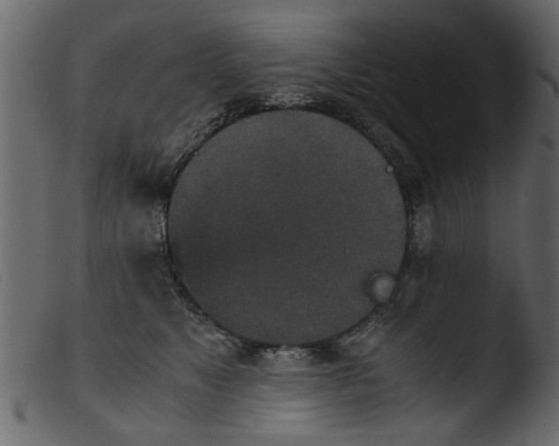 X0000103960517200810101247