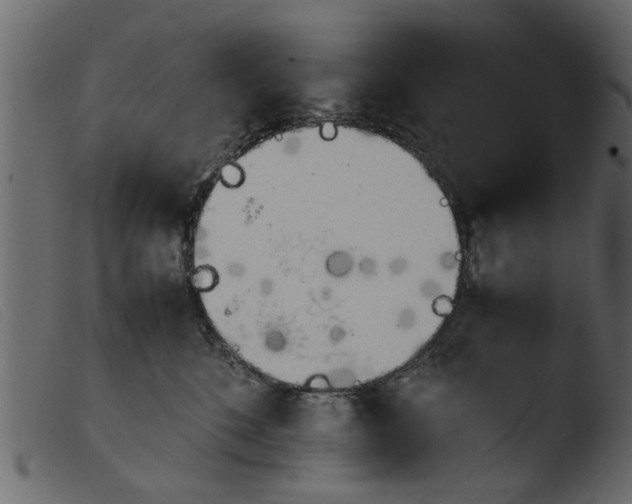 X0000103960520200810101247