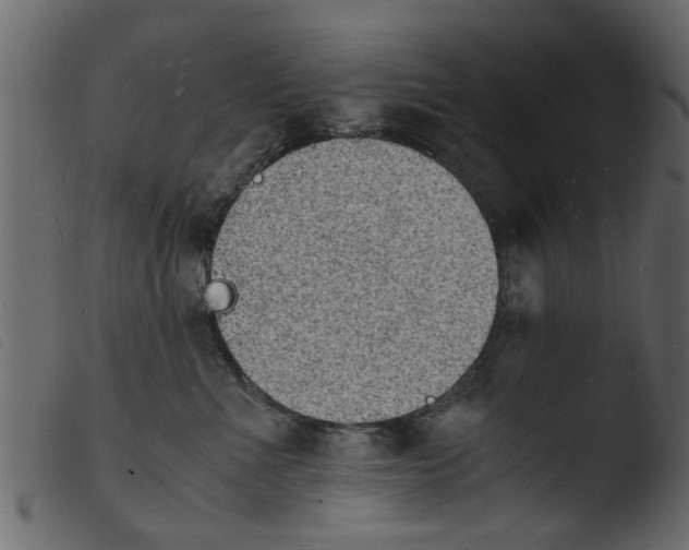 X0000103960523200810101247