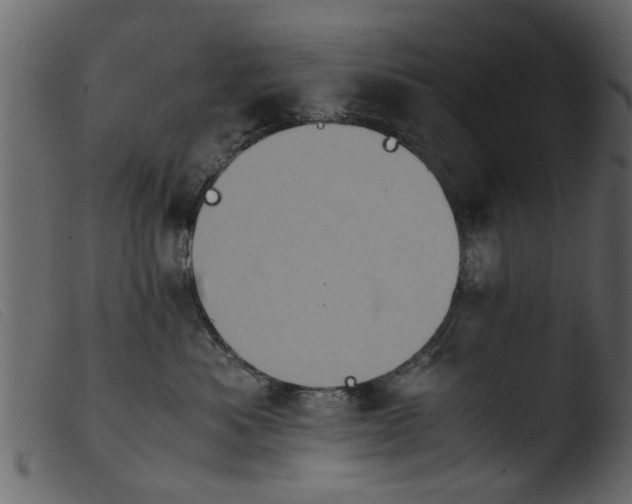 X0000103960525200810101247