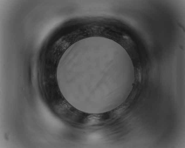 X0000103960526200810101247