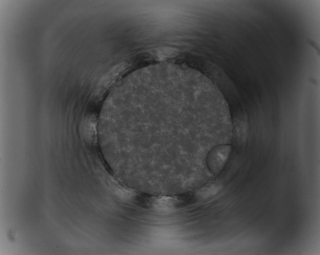 X0000103960527200810101247