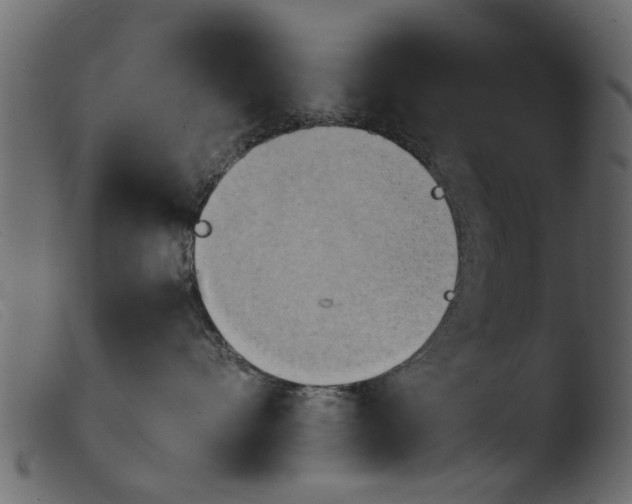 X0000103960528200810101247