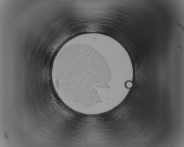 X0000103960530200810101246