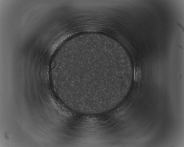 X0000103960531200810101246